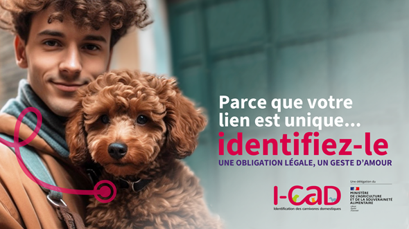 Fourrière animale – Sensibilisation sur l’identification chien et chat – I-Cad